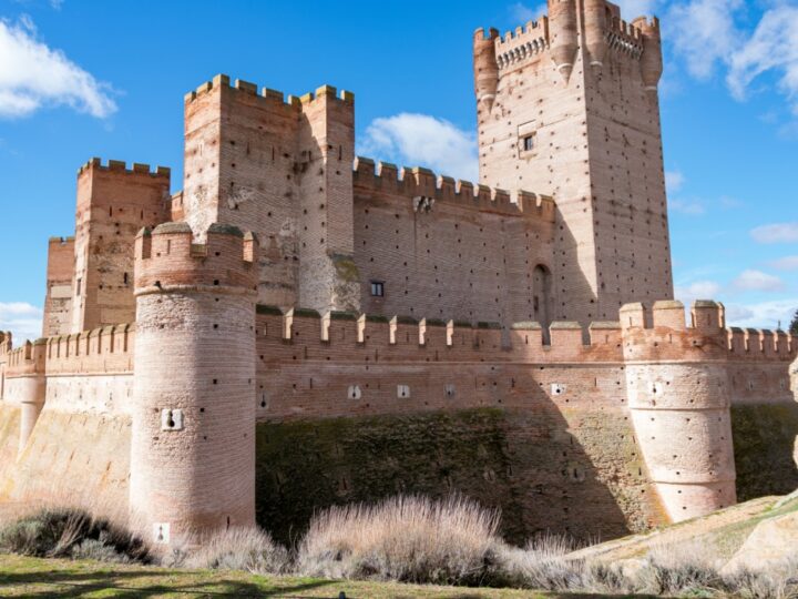 75 nietoperzy zamieszkuje odnowione piwnice zamku krzyżackiego w Świeciu