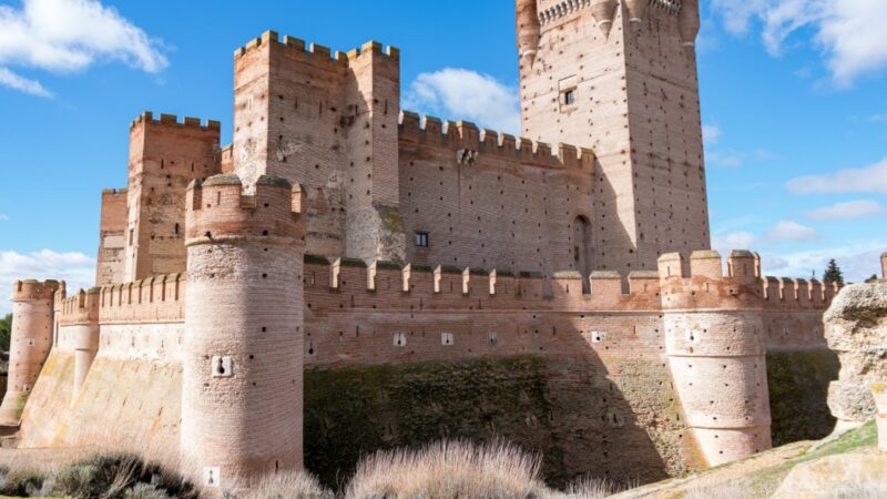 75 nietoperzy zamieszkuje odnowione piwnice zamku krzyżackiego w Świeciu