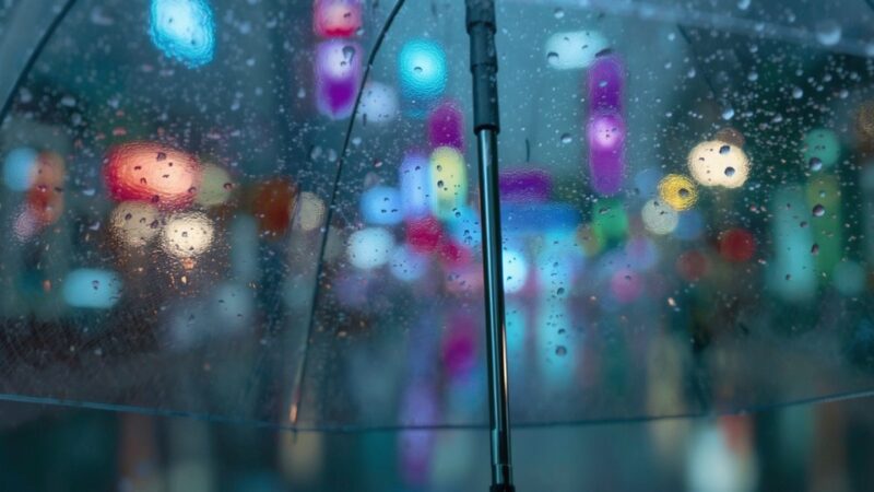 Zimny front: Przymrozki w regionie