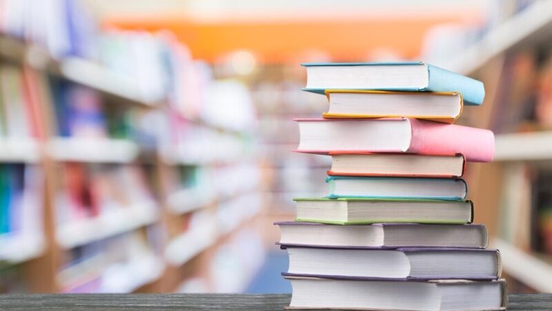 Świętujemy Dzień Bibliotekarza i Bibliotek!